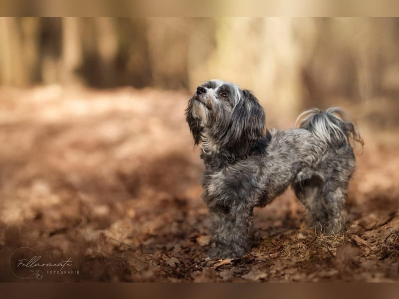 Ebony - freundlich&aktiv