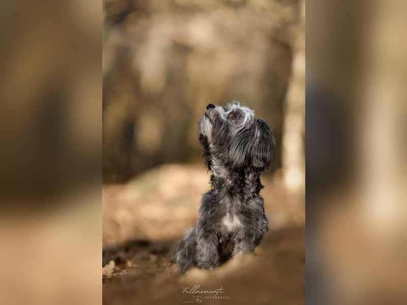 Ebony - freundlich&aktiv