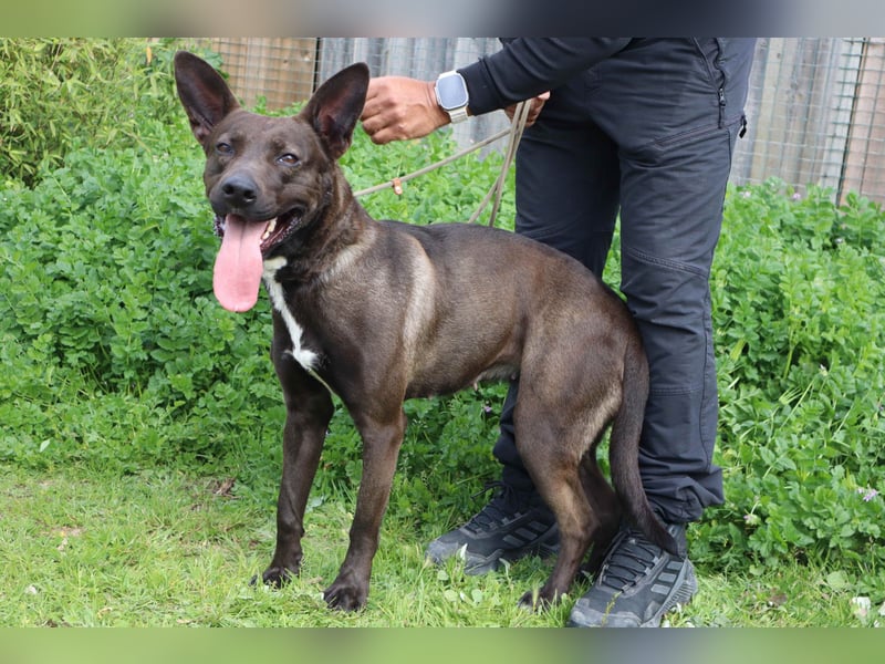 Powerlady Lindinha ❤️ ist nichts für Stubenhocker