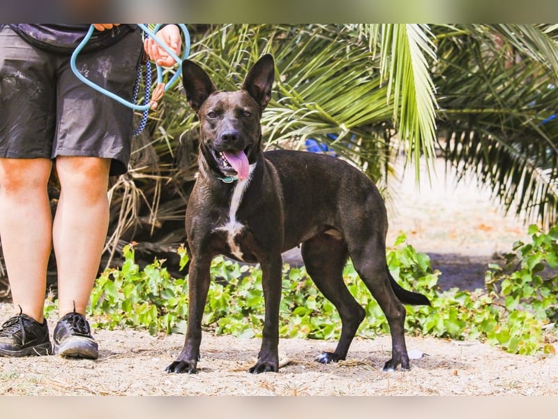 Powerlady Lindinha ❤️ ist nichts für Stubenhocker