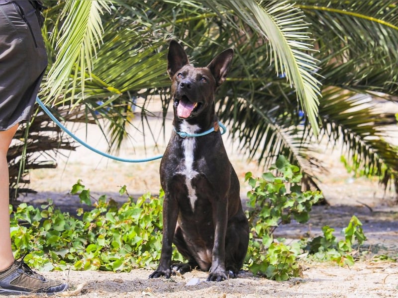 Powerlady Lindinha ❤️ ist nichts für Stubenhocker