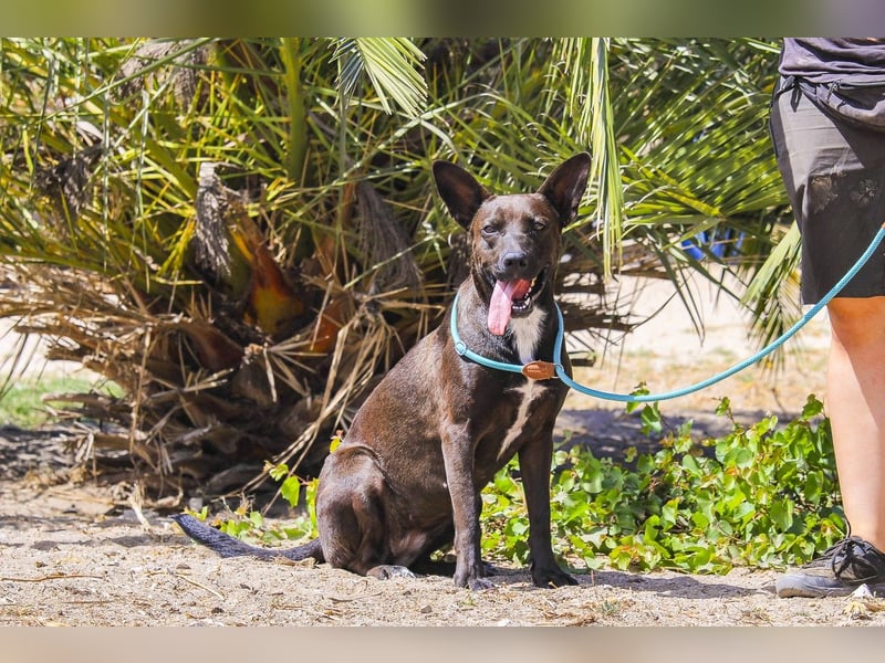 Powerlady Lindinha ❤️ ist nichts für Stubenhocker