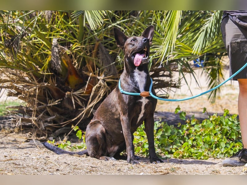 Powerlady Lindinha ❤️ ist nichts für Stubenhocker