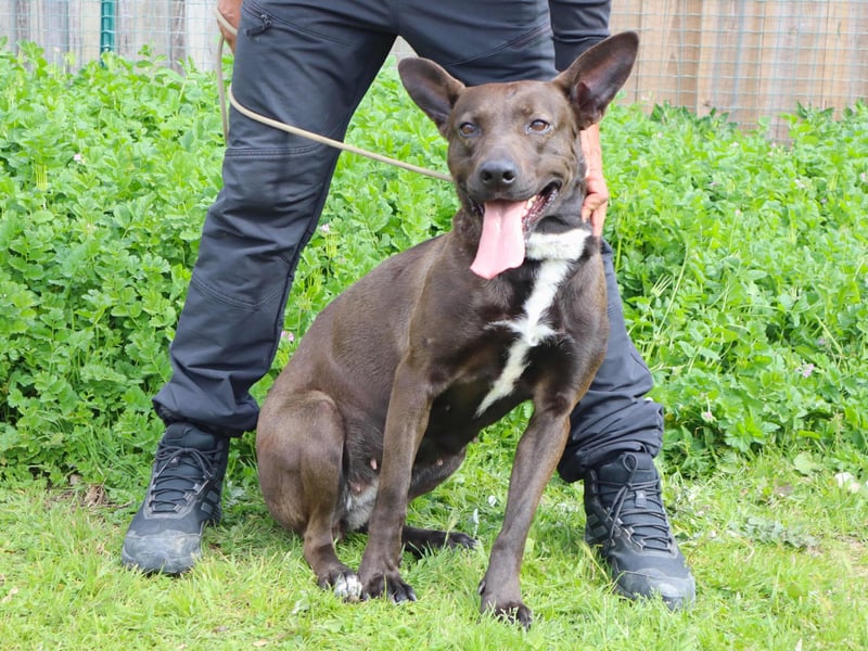 Powerlady Lindinha ❤️ ist nichts für Stubenhocker