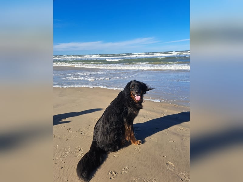 Hoverwart Schwarzmarken