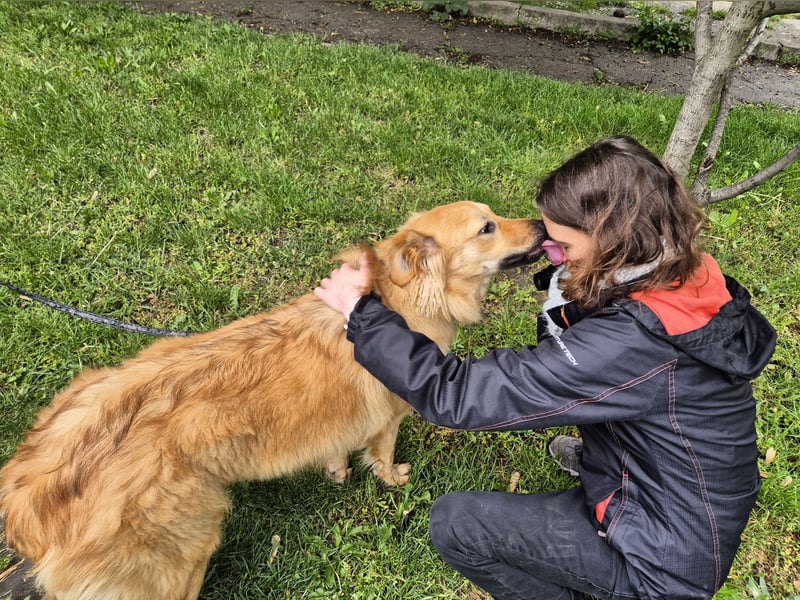 Sally sucht ein liebevolles Zuhause