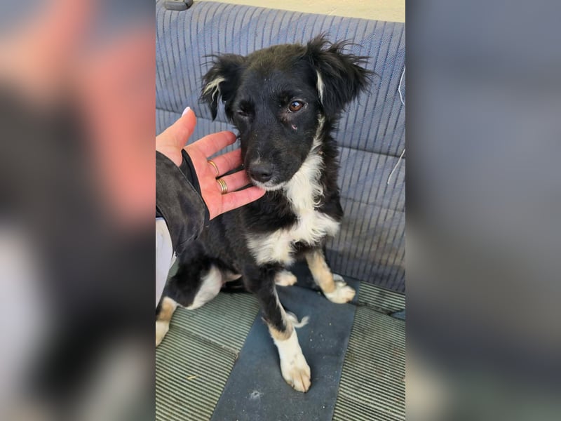 Carla - so zerbrechlich