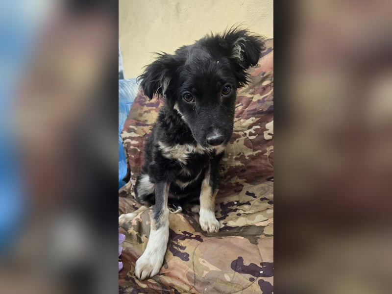 Carla - friert in der Kälte