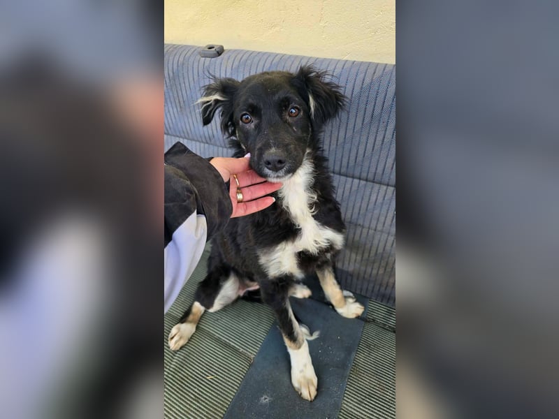 Carla - so zerbrechlich