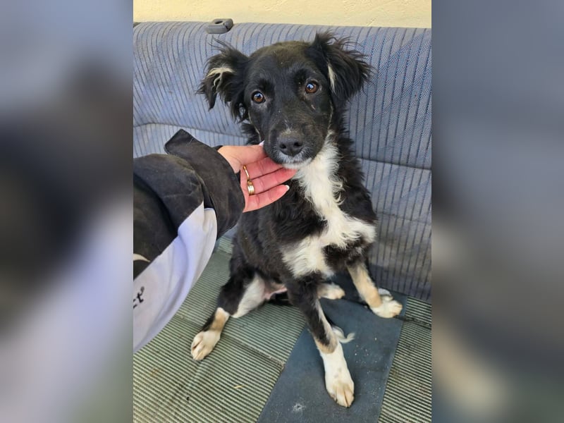 Carla - so zerbrechlich