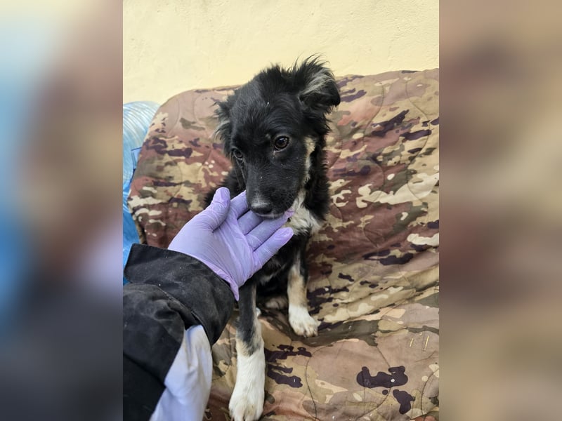 Carla - friert in der Kälte