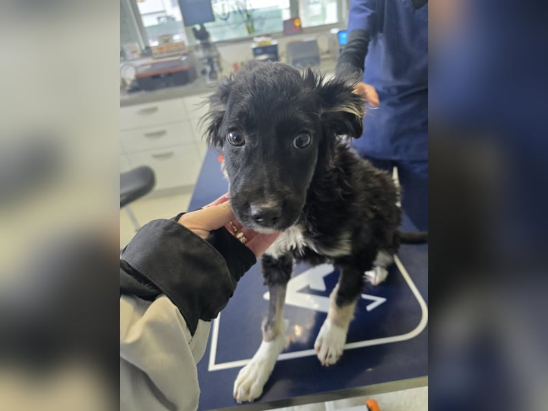 Carla - friert in der Kälte