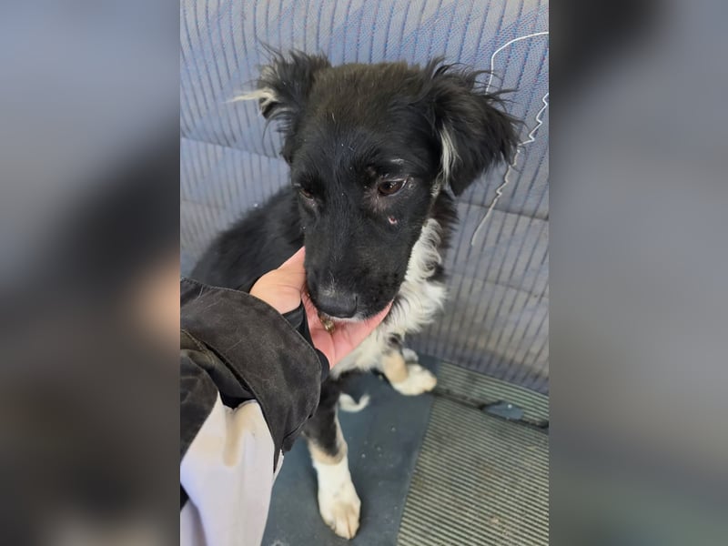 Carla - so zerbrechlich