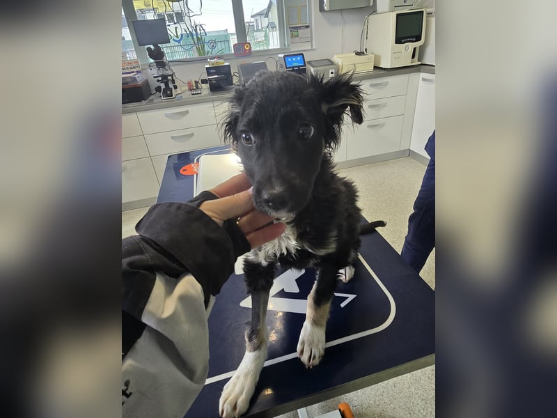 Carla - friert in der Kälte