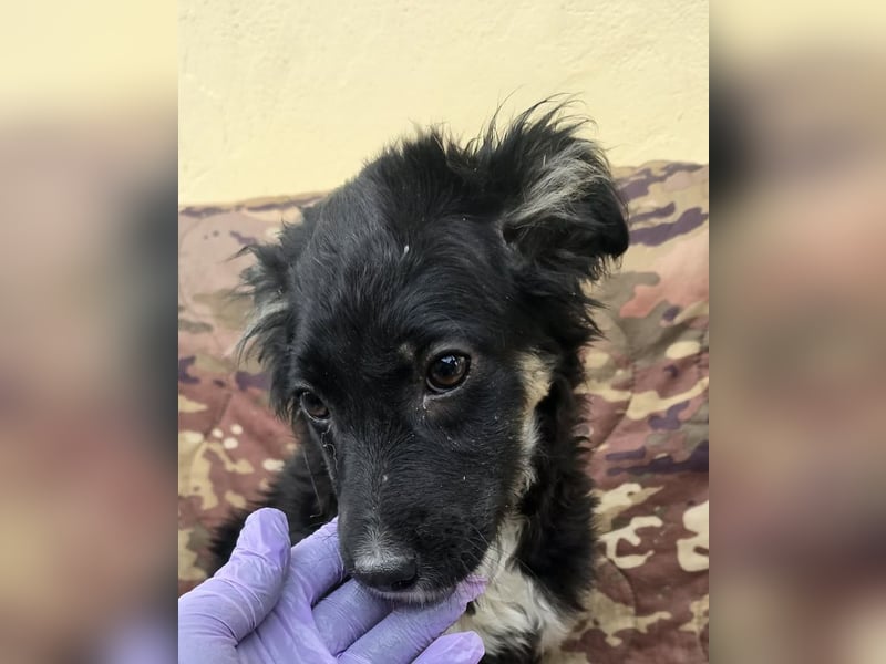 Carla - friert in der Kälte