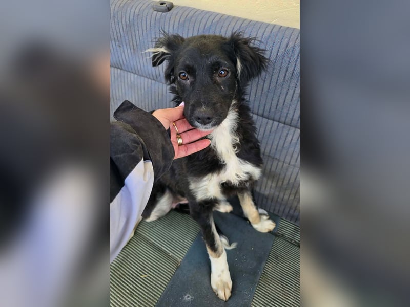 Carla - so zerbrechlich