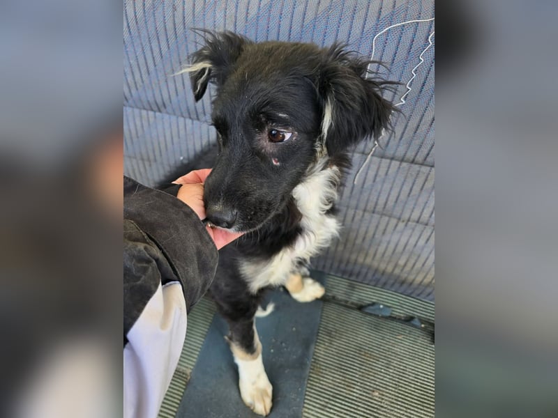 Carla - so zerbrechlich