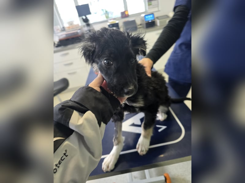 Carla - friert in der Kälte