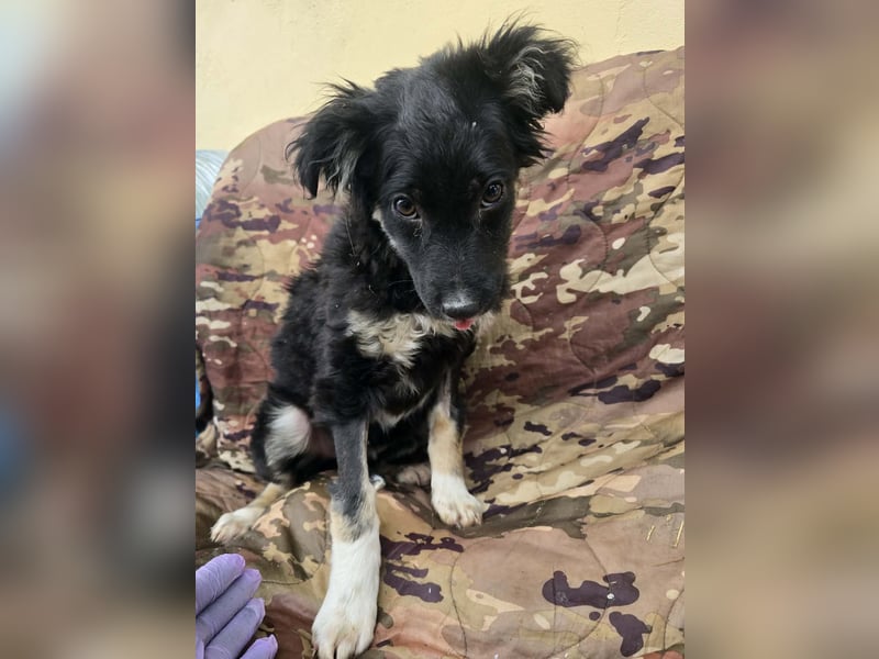 Carla - friert in der Kälte