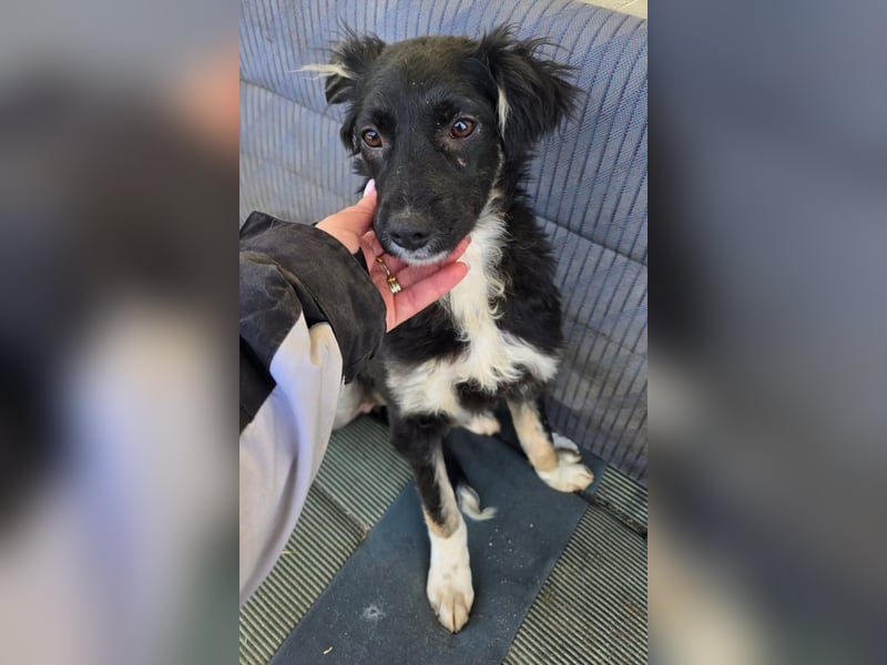 Carla - so zerbrechlich