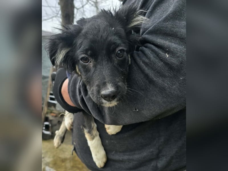 Carla - friert in der Kälte