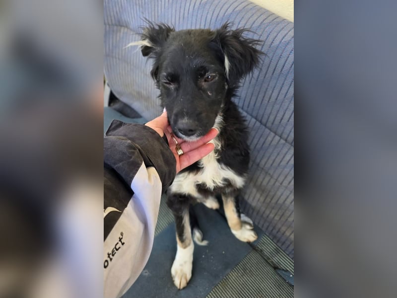 Carla - so zerbrechlich