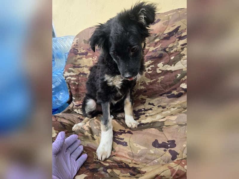 Carla - friert in der Kälte