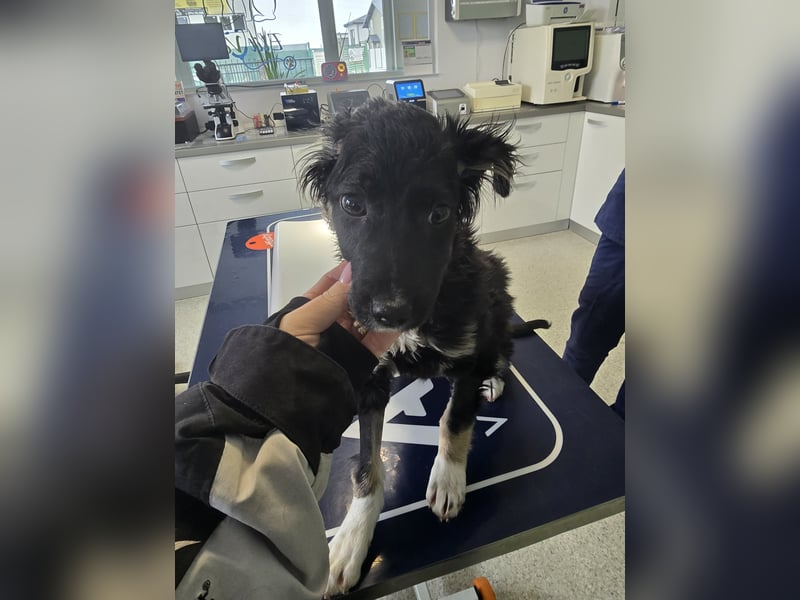 Carla - friert in der Kälte