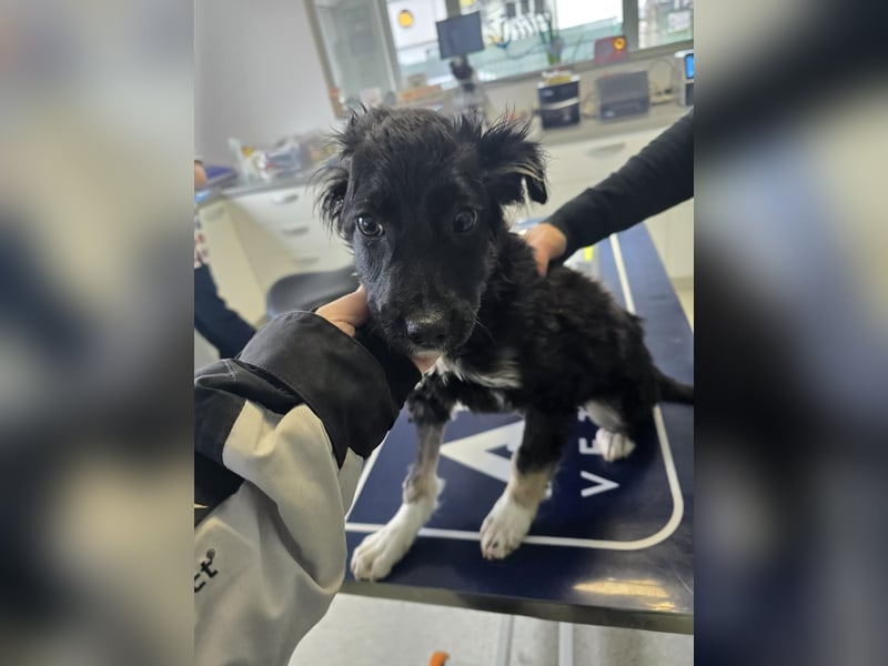 Carla - friert in der Kälte