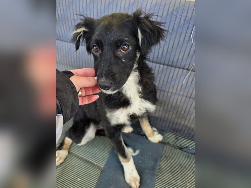 Carla - so zerbrechlich