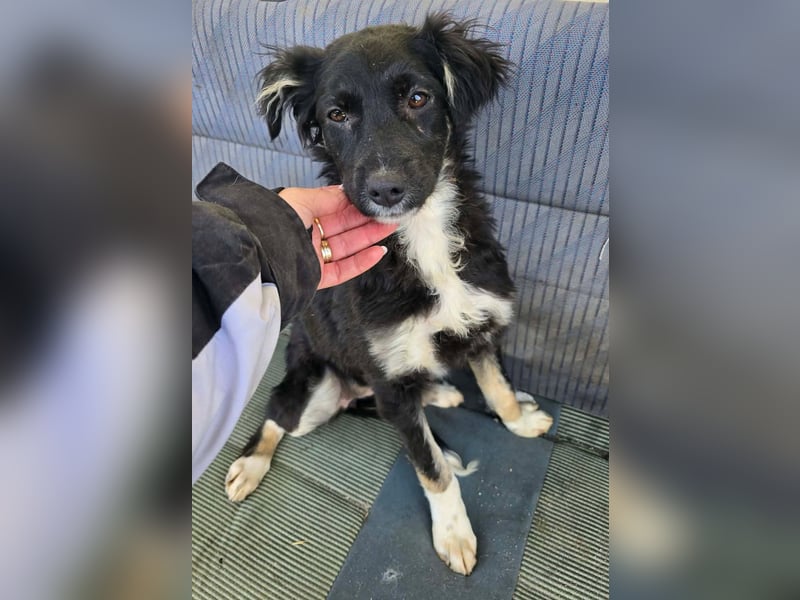 Carla - so zerbrechlich