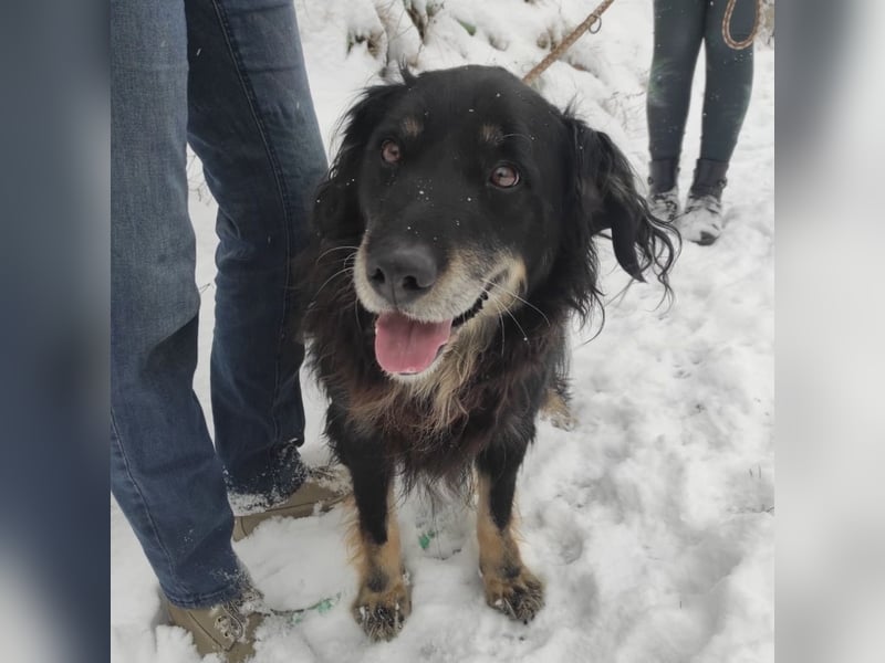 Doro ein freundlicher Schatz