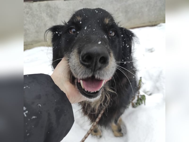 Doro ein freundlicher Schatz