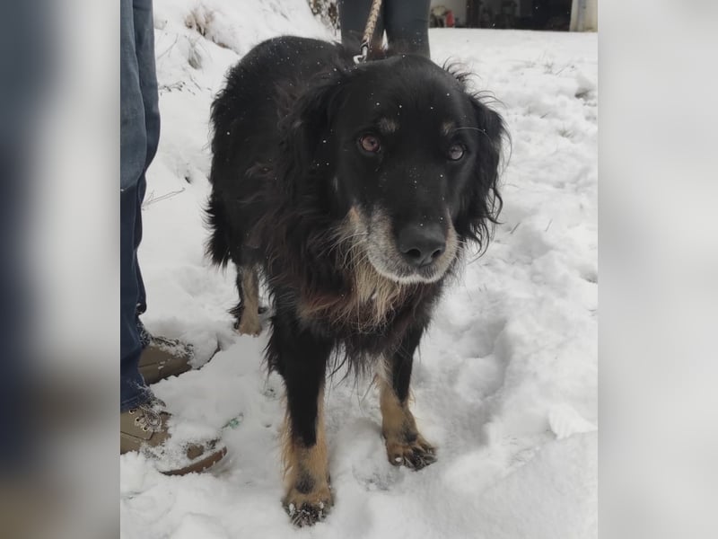 Doro ein freundlicher Schatz