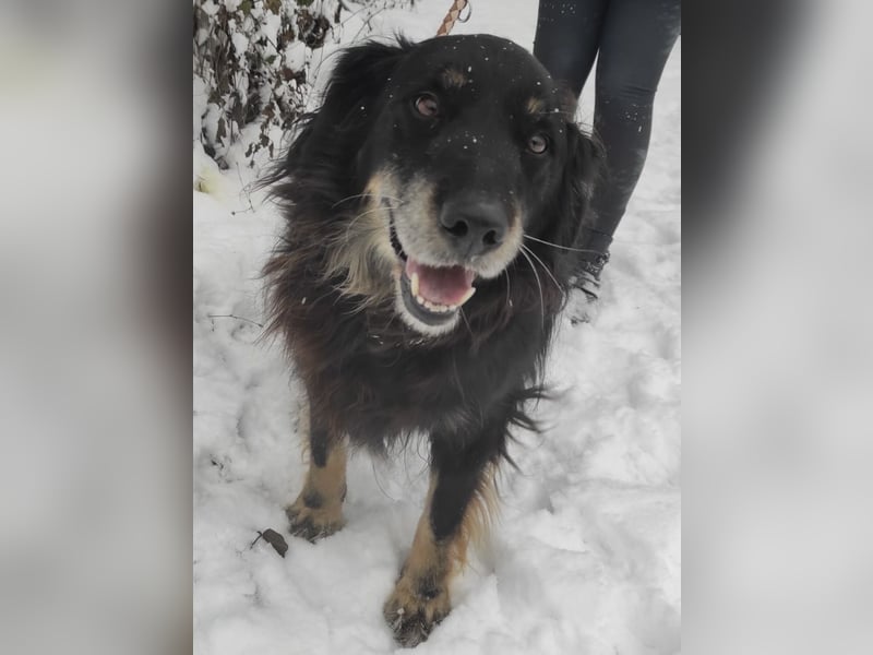 Doro ein freundlicher Schatz