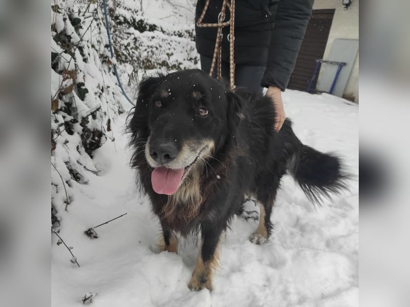 Doro ein freundlicher Schatz