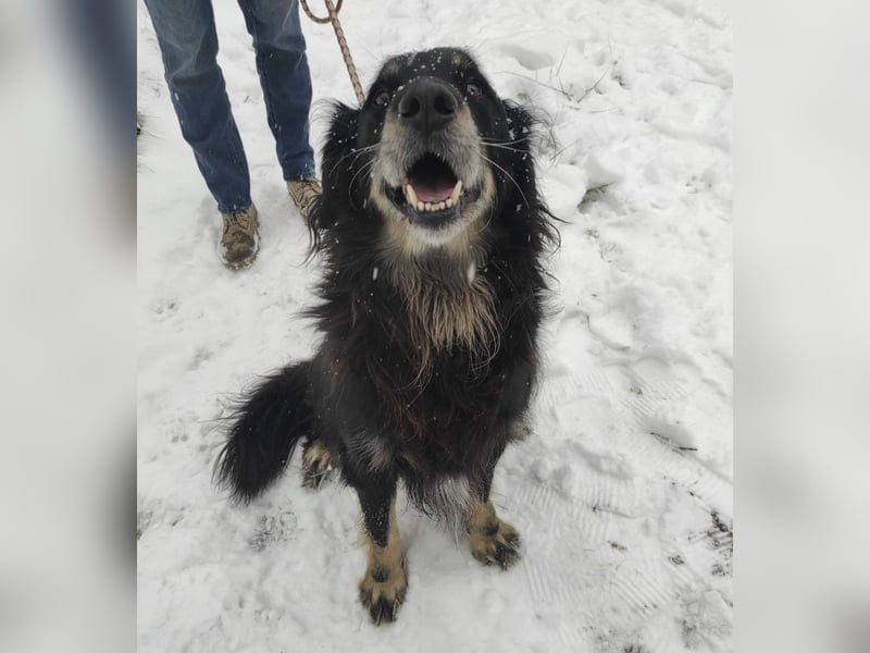 Doro ein freundlicher Schatz