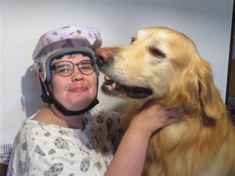 Hovawart Deckrüde HANNES