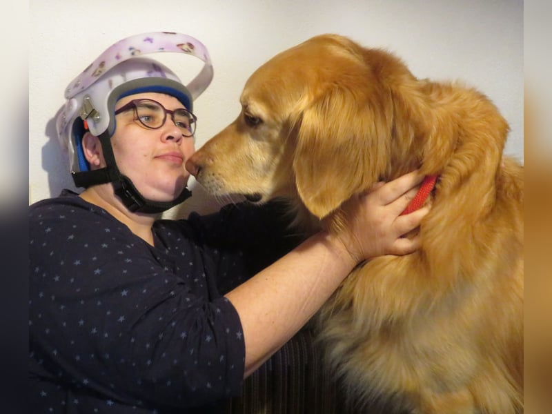 Hovawart Deckrüde HANNES