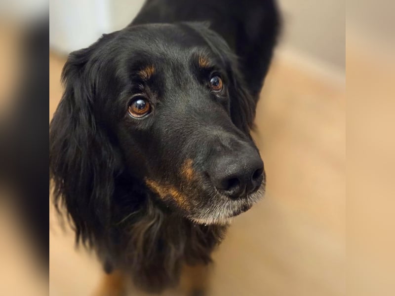 Arko - ländliches Zuhause,Garten wäre gut