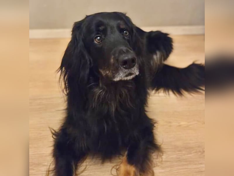 Arko - ländliches Zuhause,Garten wäre gut