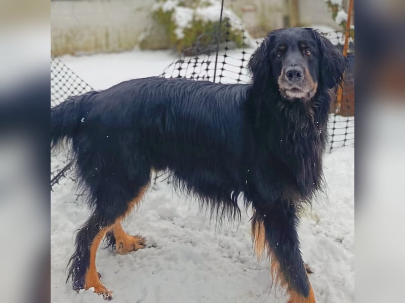 Arko - ländliches Zuhause,Garten wäre gut