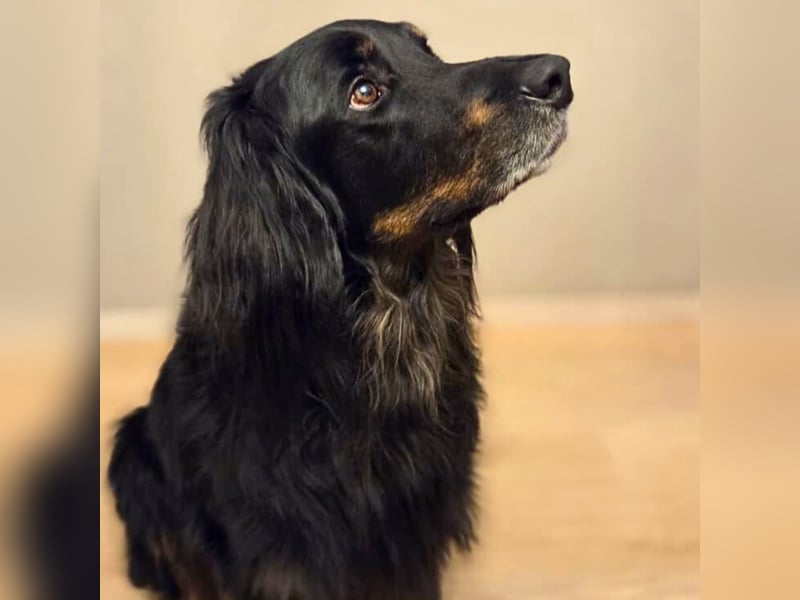 Arko - ländliches Zuhause,Garten wäre gut