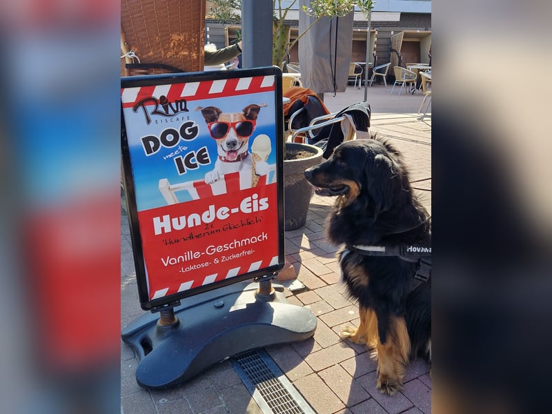 Hoverwart Schwarzmarken