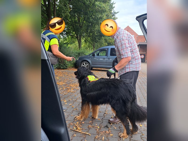 Hoverwart Schwarzmarken