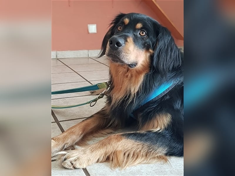 Marlow, su. erfahrenes Zuhause