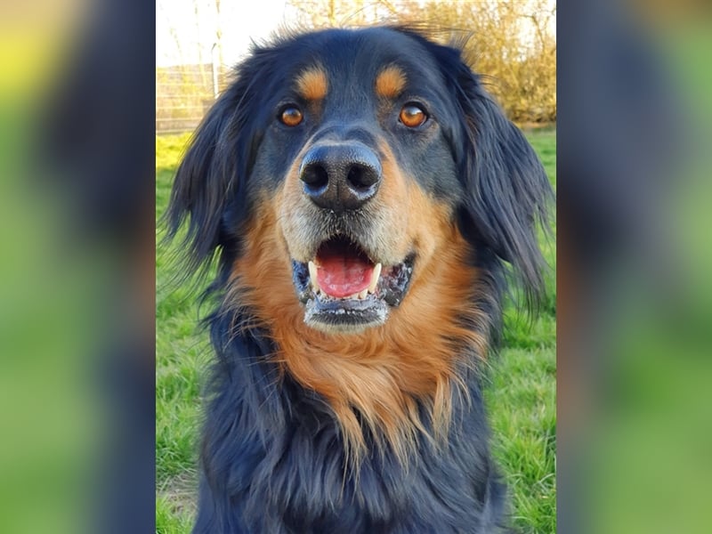 Marlow, su. erfahrenes Zuhause