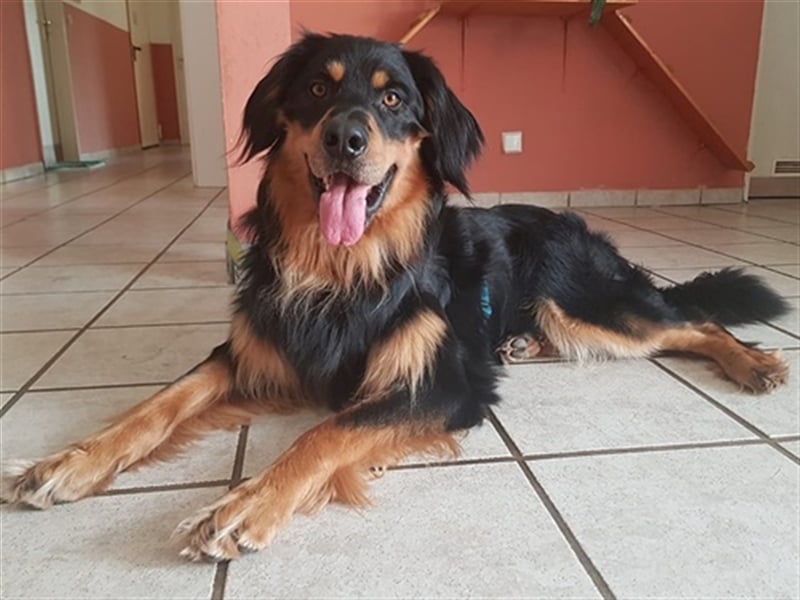 Marlow, su. erfahrenes Zuhause