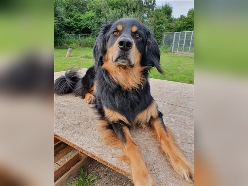 Marlow, su. erfahrenes Zuhause