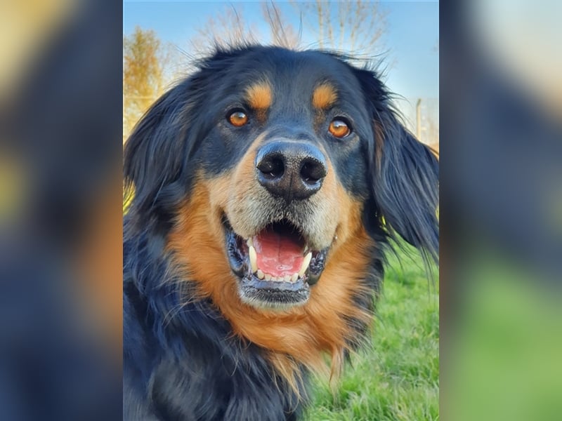 Marlow, su. erfahrenes Zuhause